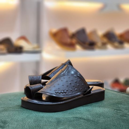 صورة زبيري وطني جلد نعام مديل و24